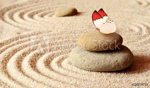 Picture of Butterfly on a zen stone
